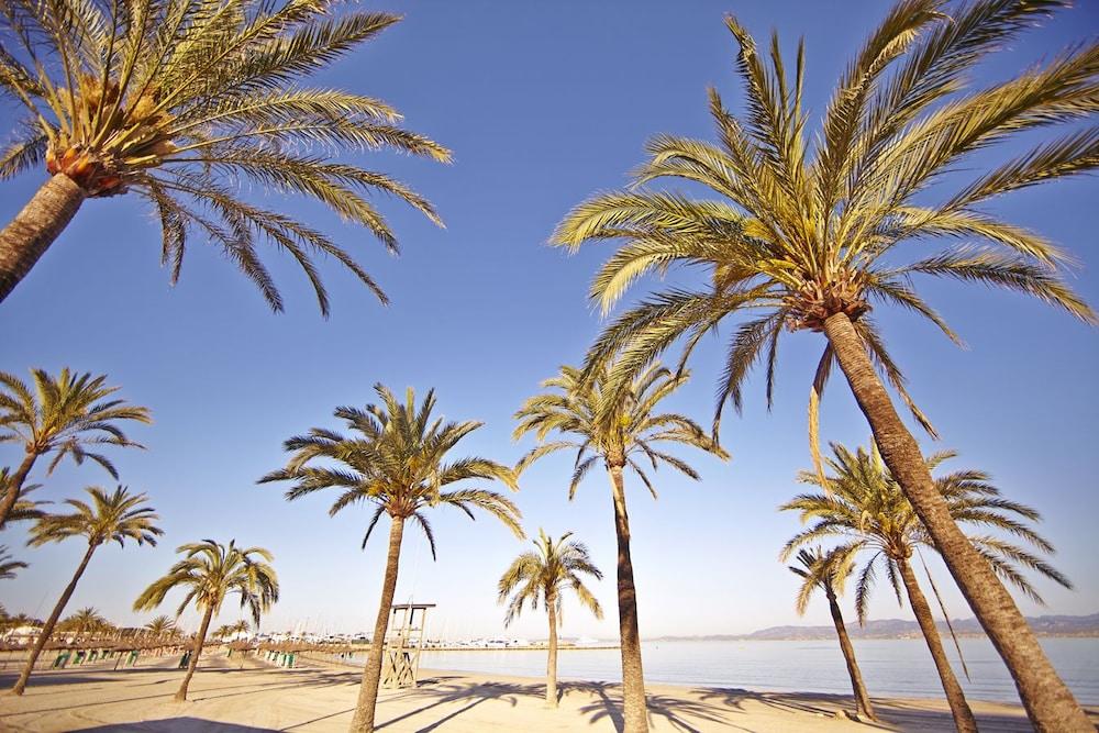 فندق Sahara Nubia Gobi Ses Cadenes المظهر الخارجي الصورة Palma de Mallorca