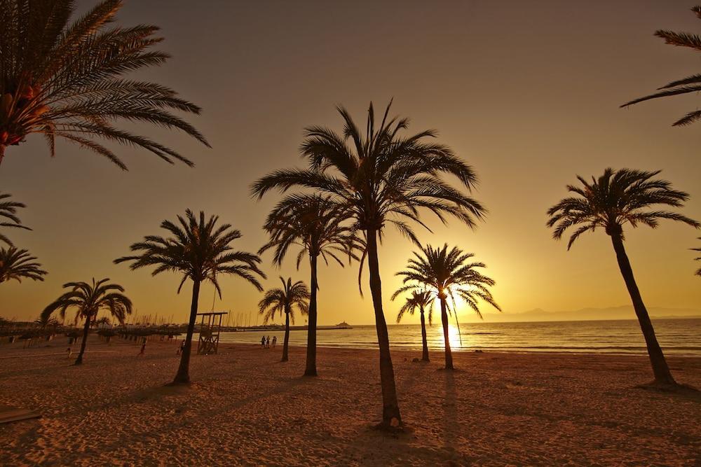 فندق Sahara Nubia Gobi Ses Cadenes المظهر الخارجي الصورة Palm trees on the beach at sunset